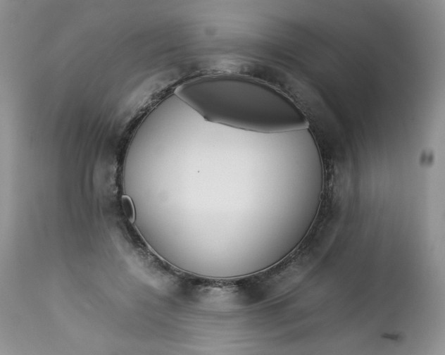 X0000112750548200909101542