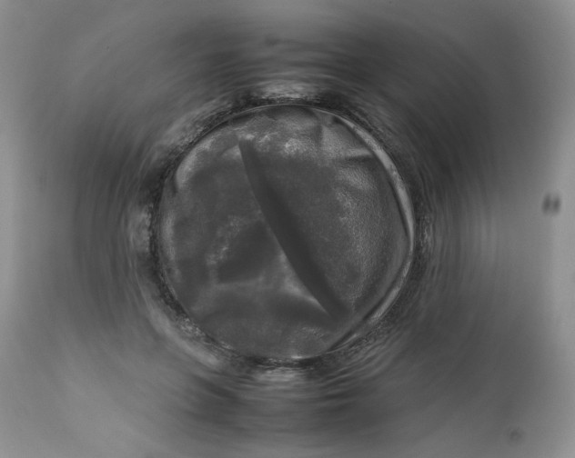 X0000112750551200909101542