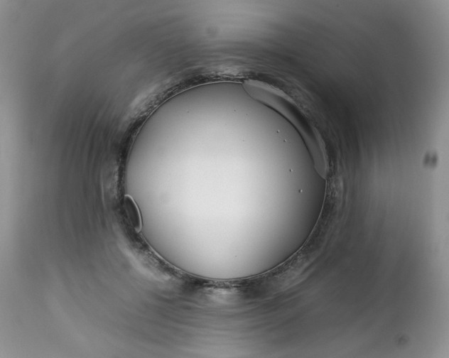 X0000112750552200909101542