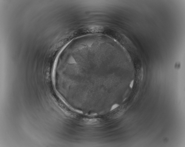 X0000112750553200909101542