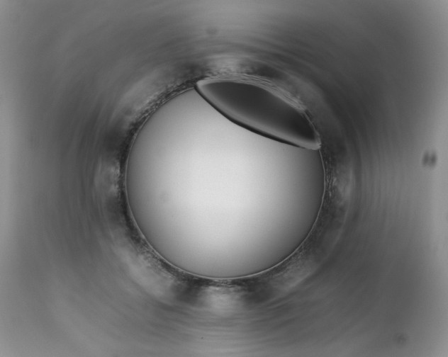 X0000112750556200909101542