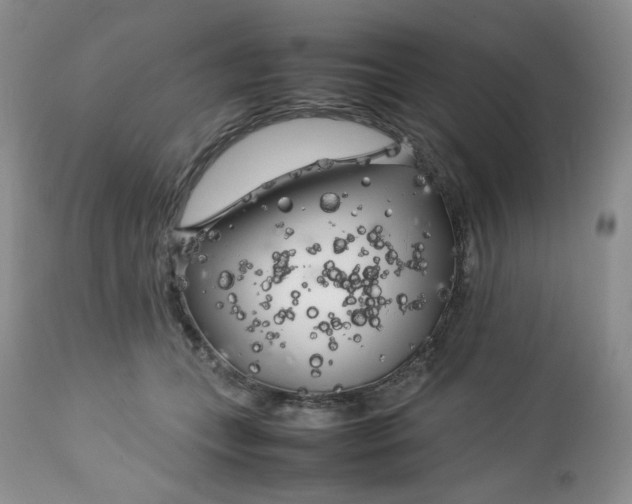 X0000112750559200909101542