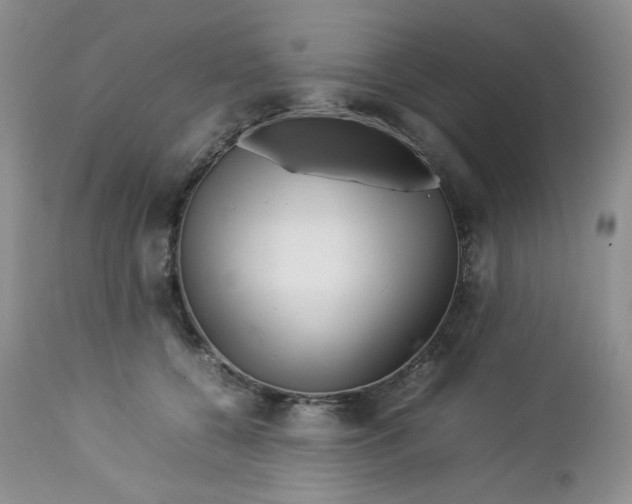 X0000112750560200909101543