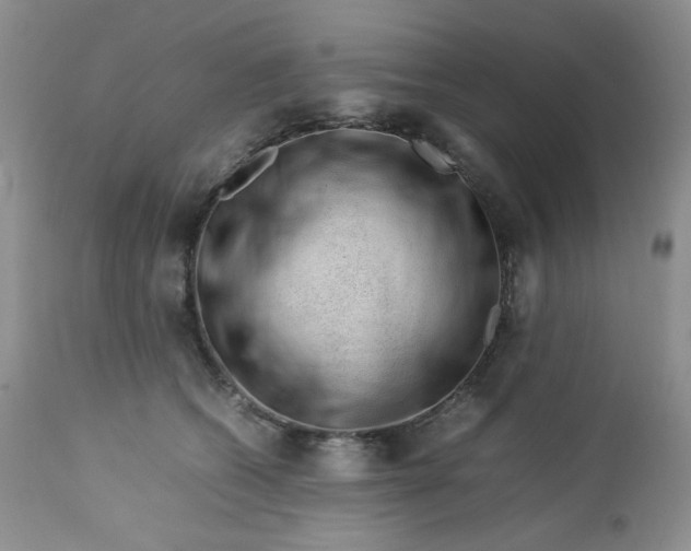 X0000112750562200909101543