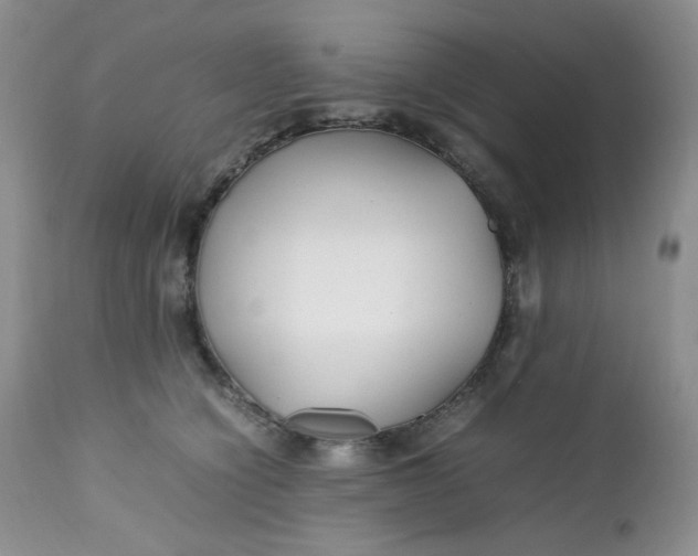 X0000112750564200909101543