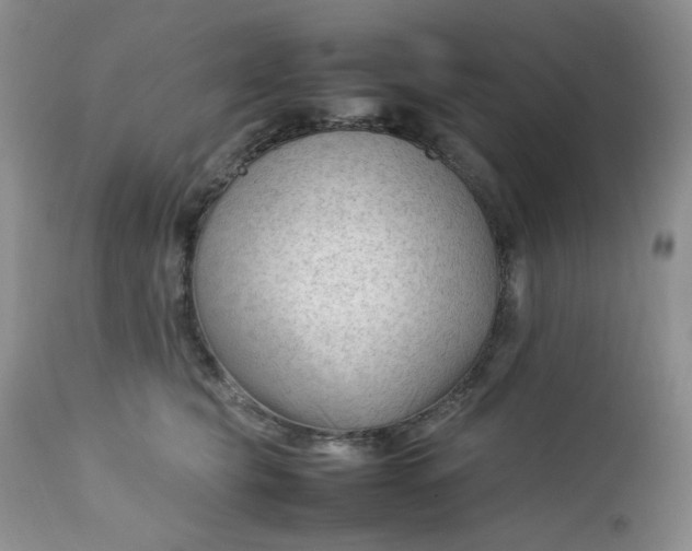 X0000112750565200909101543