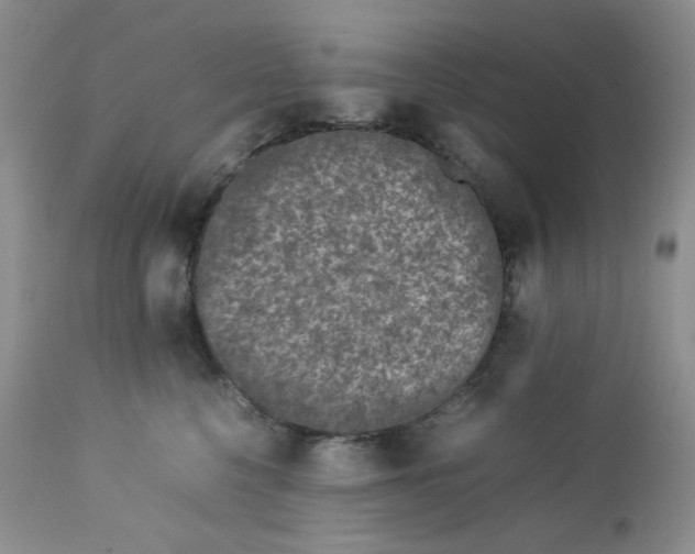 X0000112750568200909101543