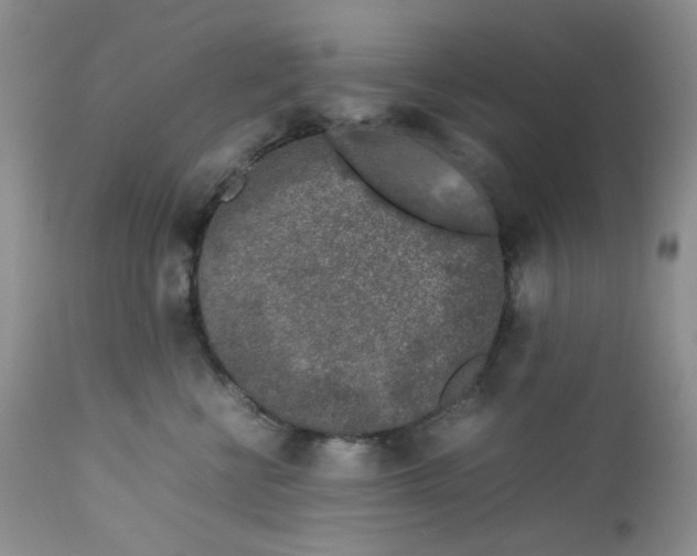 X0000112750570200909101543