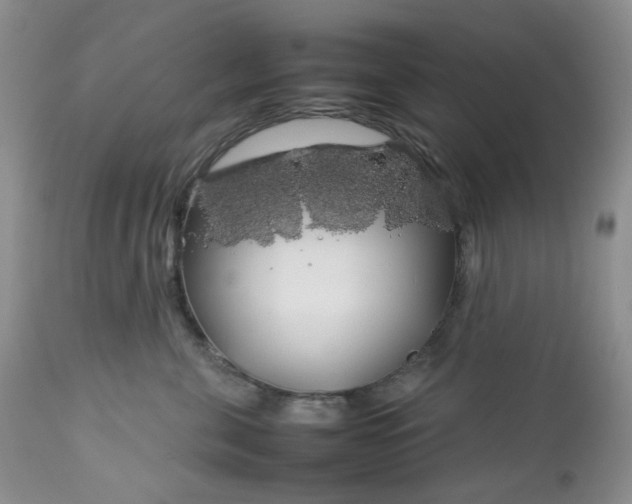 X0000112750571200909101543