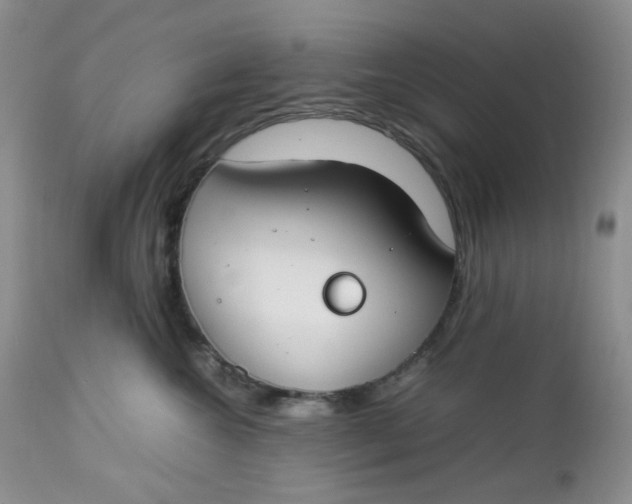 X0000112750572200909101543