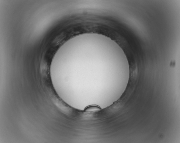 X0000112750574200909101543