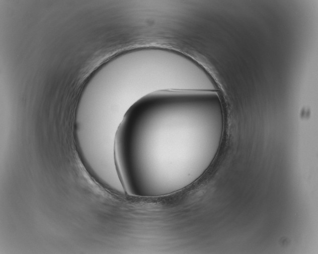 X0000112750577200909101542