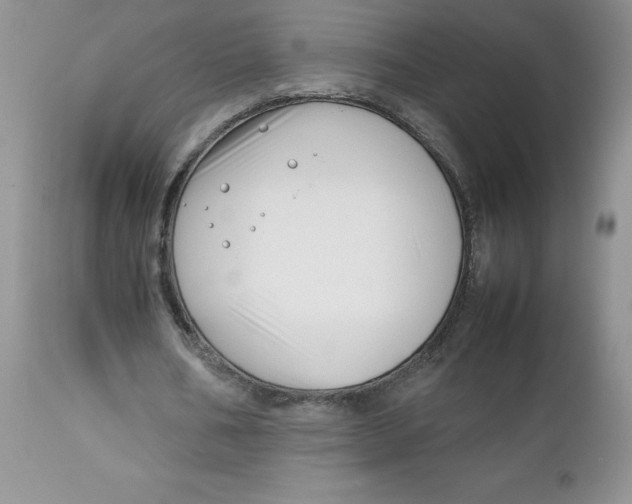 X0000112750578200909101542