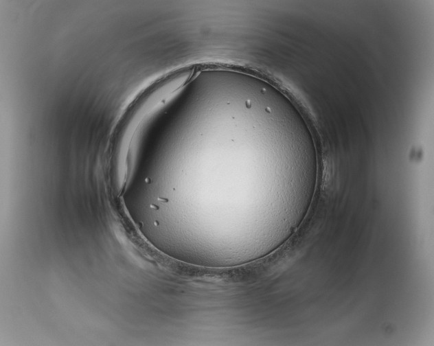 X0000112750580200909101542