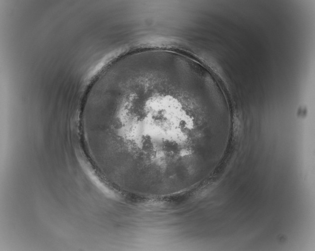 X0000112750581200909101542