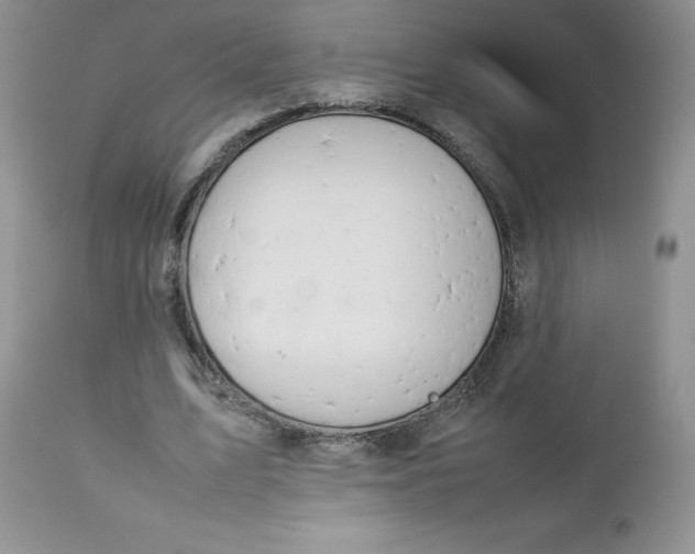 X0000112750583200909101542