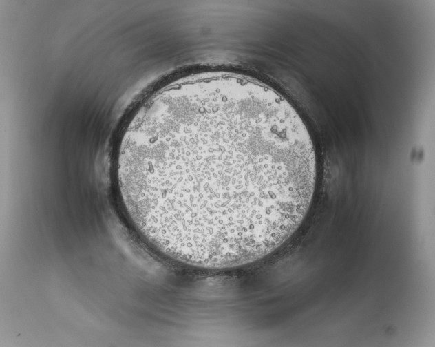 X0000112750584200909101542