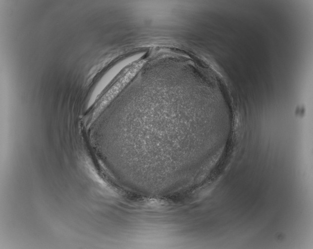 X0000112750585200909101542