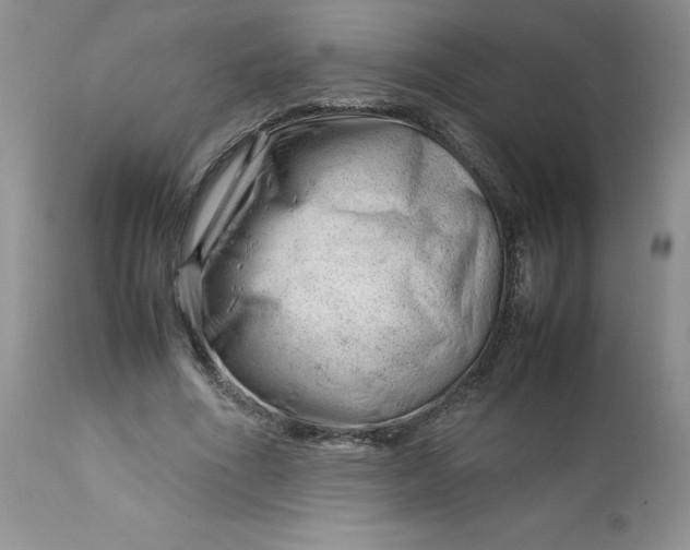 X0000112750586200909101542