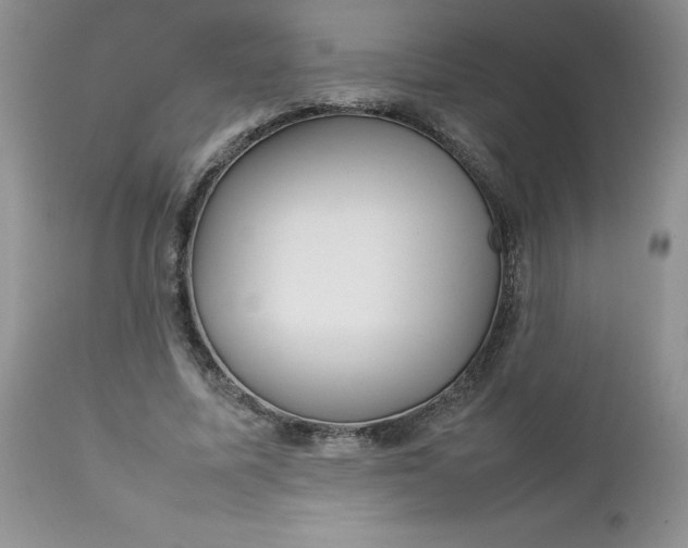 X0000112750587200909101542