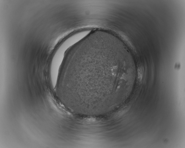 X0000112750588200909101542