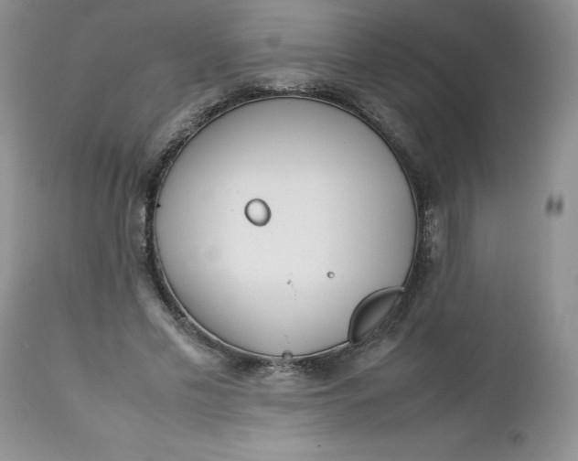 X0000112750589200909101542