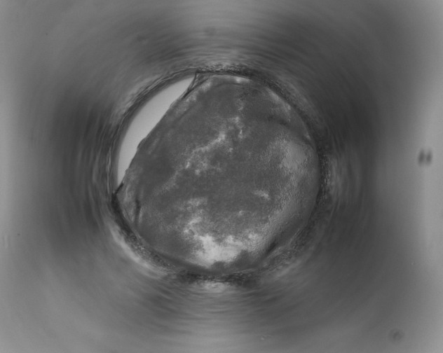 X0000112750590200909101542