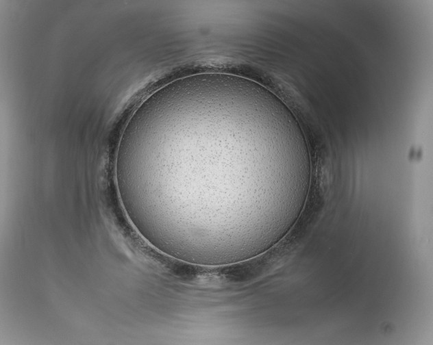 X0000112750591200909101542