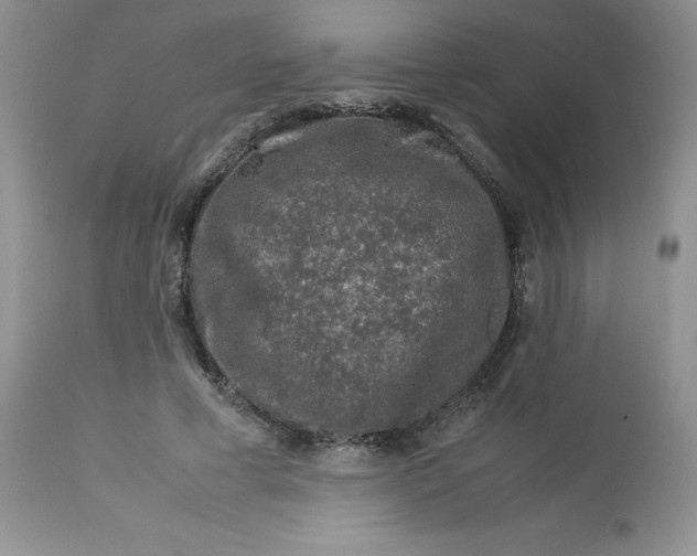 X0000112750593200909101542