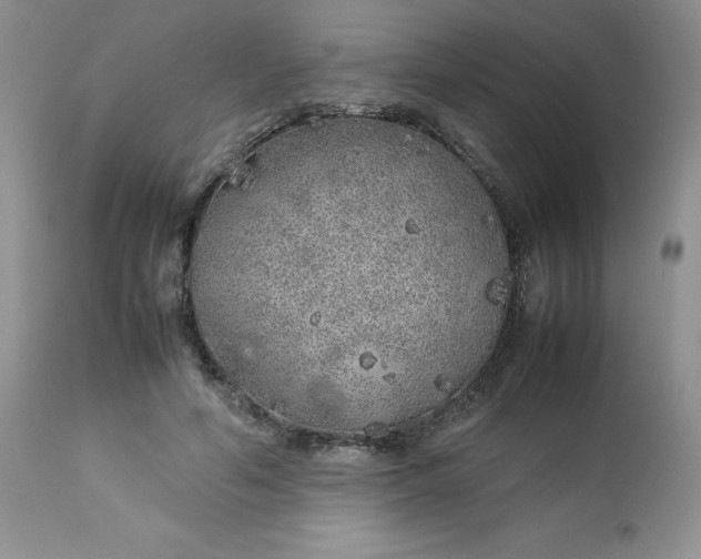 X0000112750594200909101542