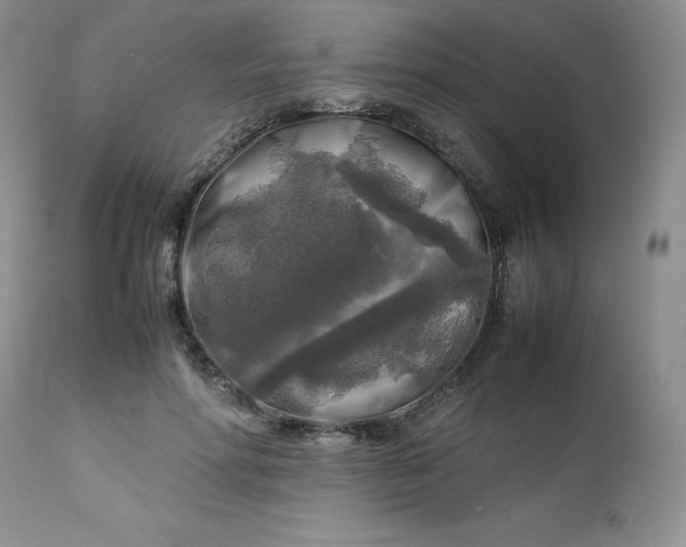 X0000112750598200909101542