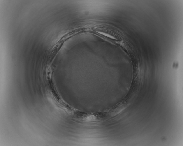 X0000112750600200909101542