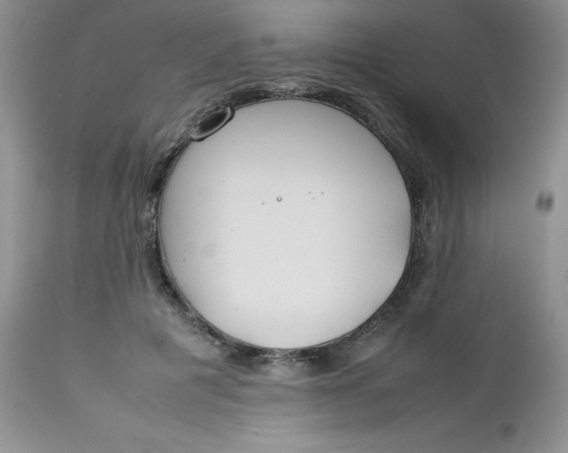 X0000112750601200909101541