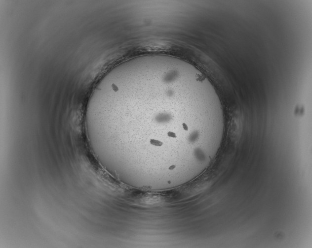 X0000112750604200909101541