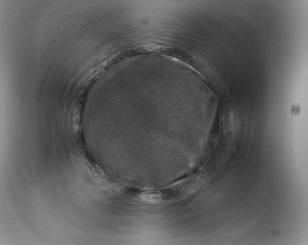 X0000112750606200909101541