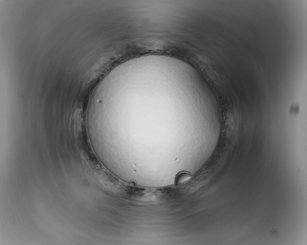 X0000112750612200909101541