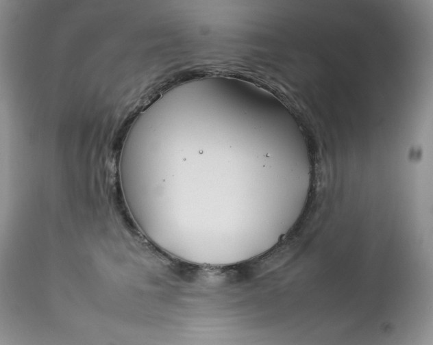 X0000112750613200909101541