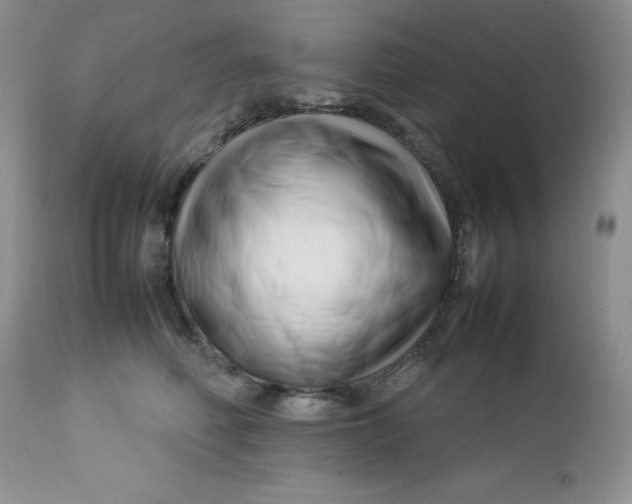 X0000112750614200909101541