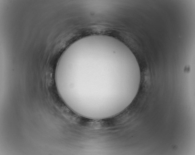 X0000112750615200909101541