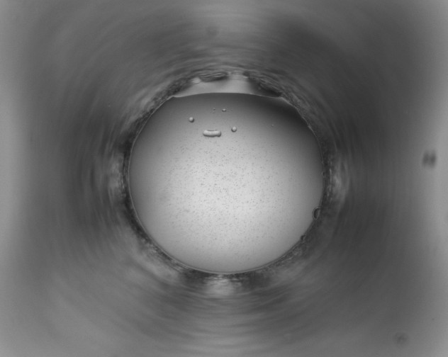 X0000112750616200909101541