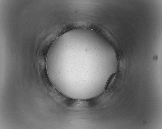 X0000112750617200909101541