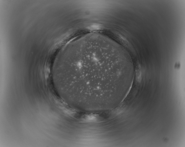 X0000112750618200909101541