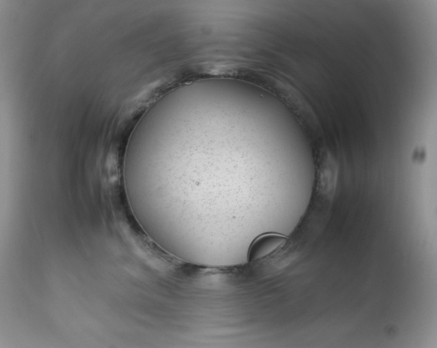 X0000112750620200909101541