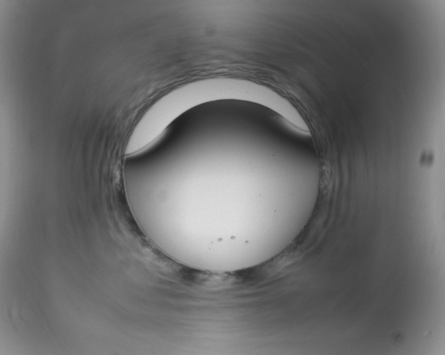 X0000112750621200909101541