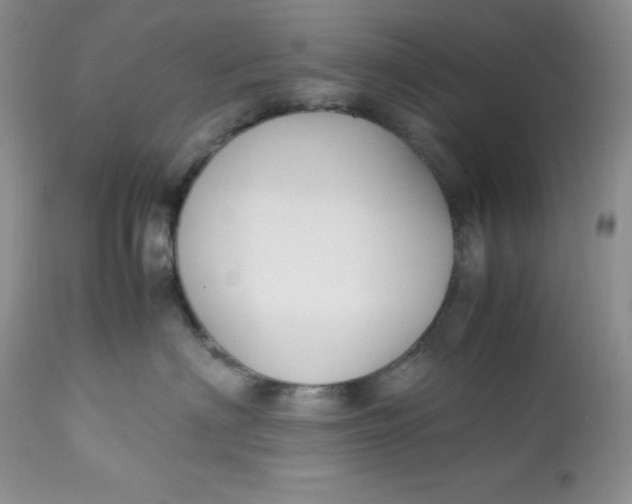 X0000112750622200909101541