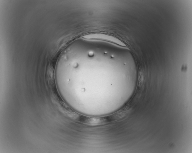 X0000112750623200909101541