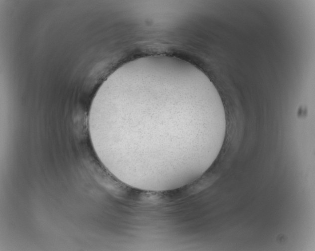 X0000112750624200909101541