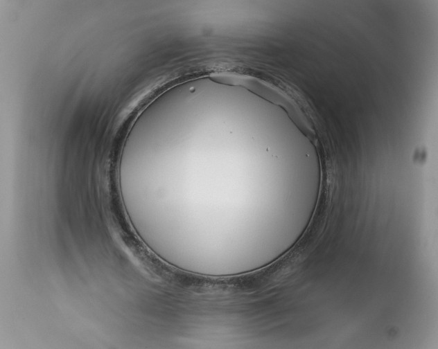 X0000112750626200909101540