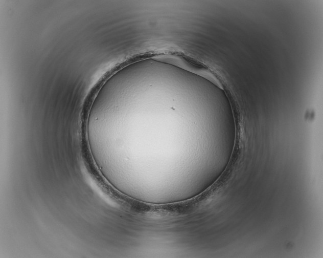 X0000112750630200909101540