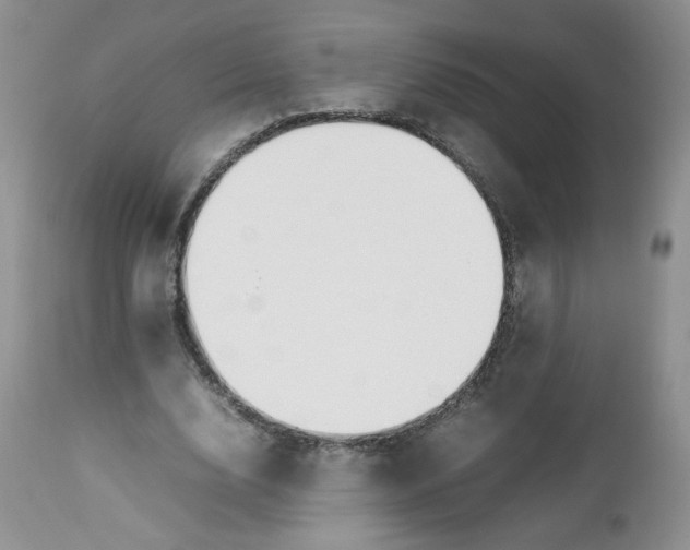 X0000112750632200909101541